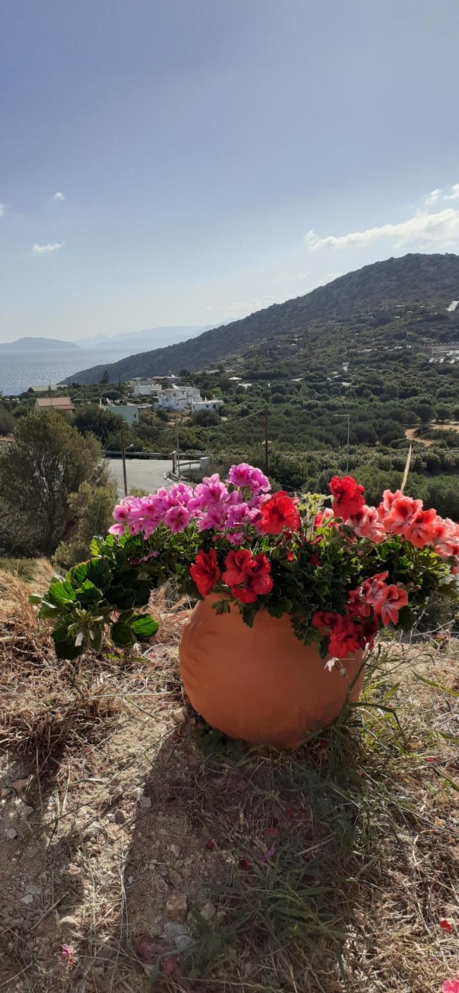 Hari Apartments Vathi, Agios Nikolaos Crete Kültér fotó