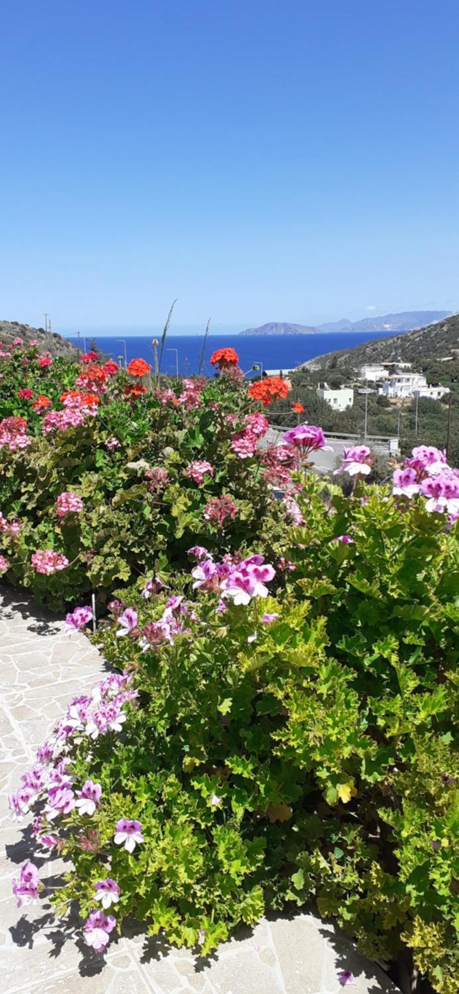 Hari Apartments Vathi, Agios Nikolaos Crete Kültér fotó