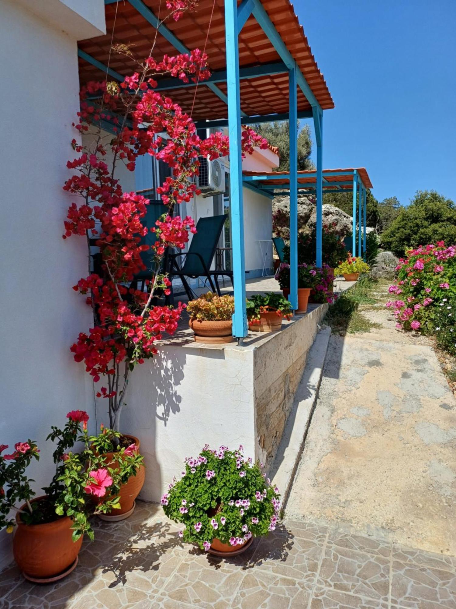 Hari Apartments Vathi, Agios Nikolaos Crete Kültér fotó